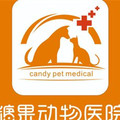 重庆糖果宠物医院-医院LOGO