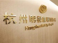 杭州明视康眼科医院-医院LOGO