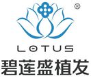哈尔滨碧莲盛植发-医院LOGO