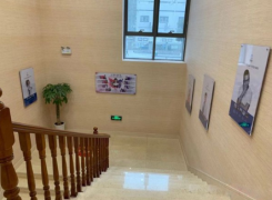 贵阳碧莲盛植发