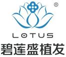 兰州碧莲盛植发-医院LOGO