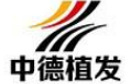 北京中德毛发移植整形医院-医院LOGO