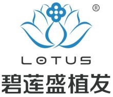乌鲁木齐碧莲盛植发