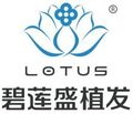 乌鲁木齐碧莲盛植发-医院LOGO