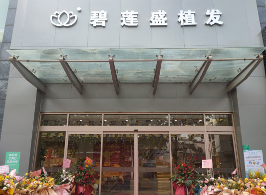 东莞碧莲盛植发