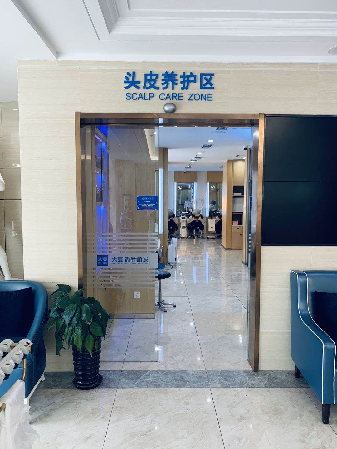 上海大麦植发