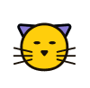 其他疾病