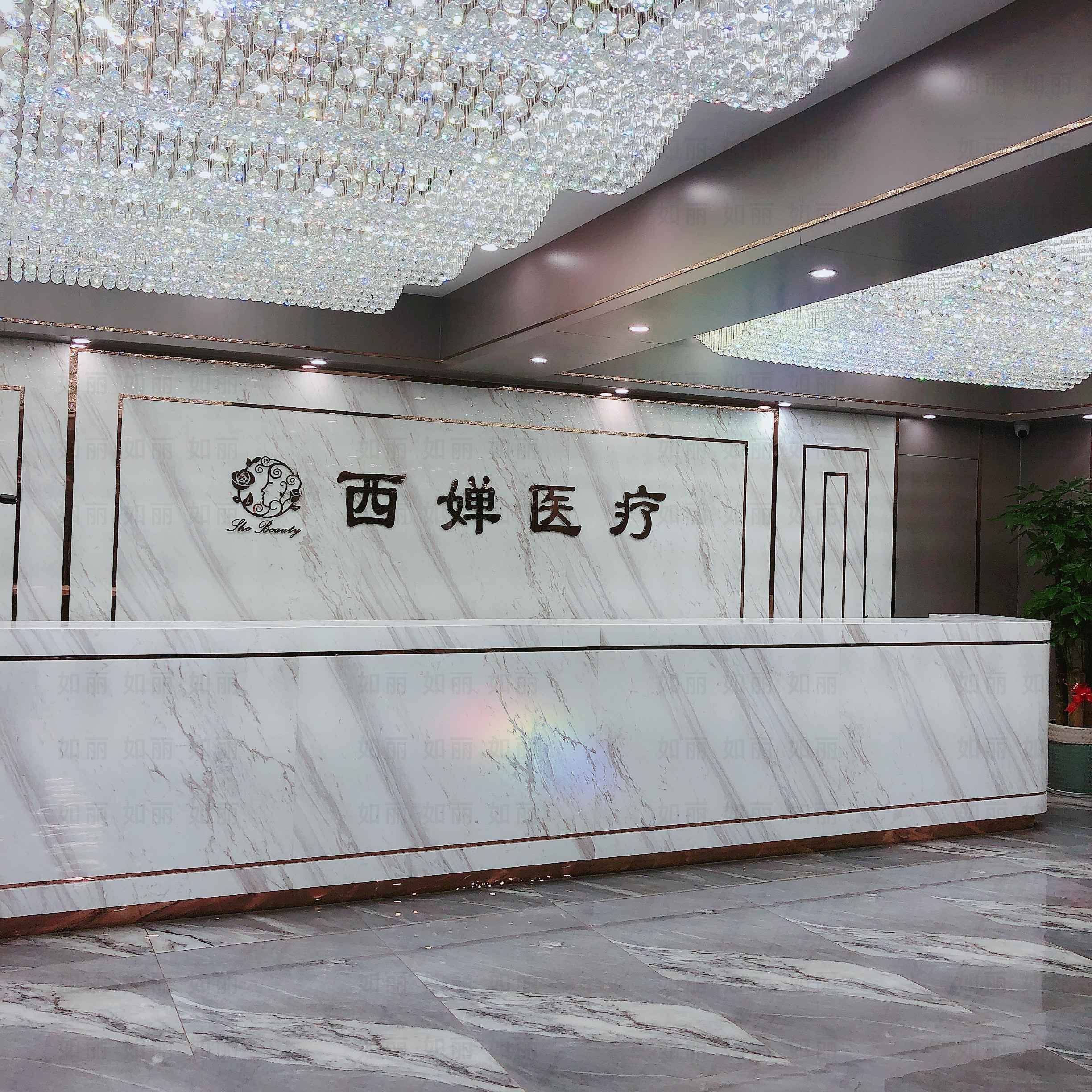 镇江西婵医疗美容有限公司