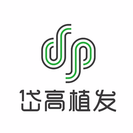 岱高植发-医院LOGO