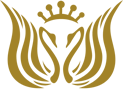 北京京民医院整形美容-医院LOGO