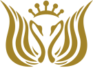 北京京民医院整形美容-医院LOGO