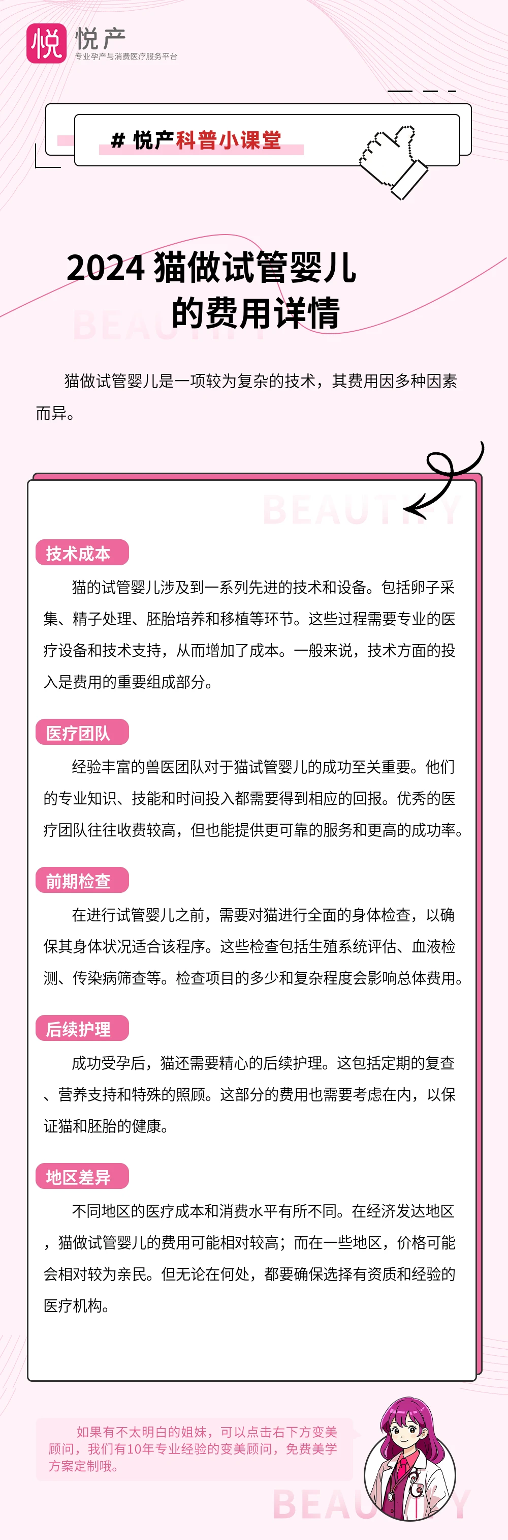 2024 猫做试管婴儿的费用详情
